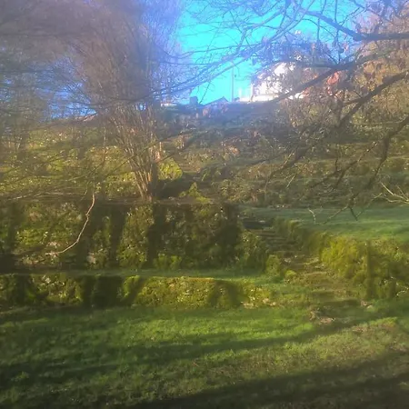Vue Exceptionnelle Sur La Forêt Nesle-la-Reposte