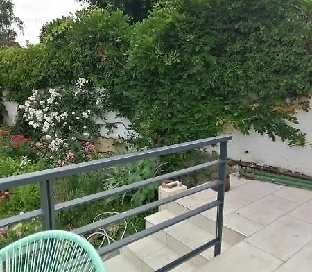 Vue Exceptionnelle Sur La Forêt *