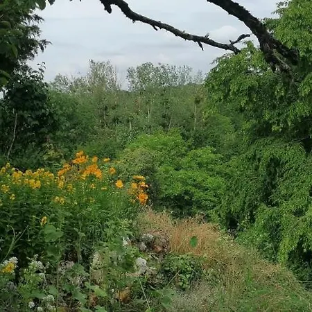 Vue Exceptionnelle Sur La Forêt Hébergement de vacances Nesle-la-Reposte
